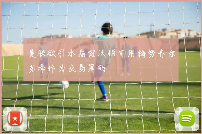 曼联欲引水晶宫沃顿可用梅努齐尔克泽作为交易筹码