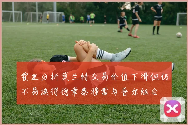 霍里分析莫兰特交易价值下滑但仍不易换得德章泰穆雷与普尔组合